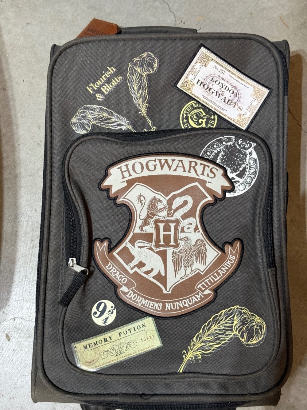 Harry Potter 18" Carry-On